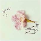 Покупайте в Soul’s Sound новые пластинки от лейбла МИРУМИР