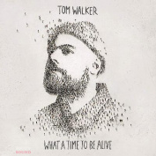 Tom Walker What a Time To Be Alive LP
