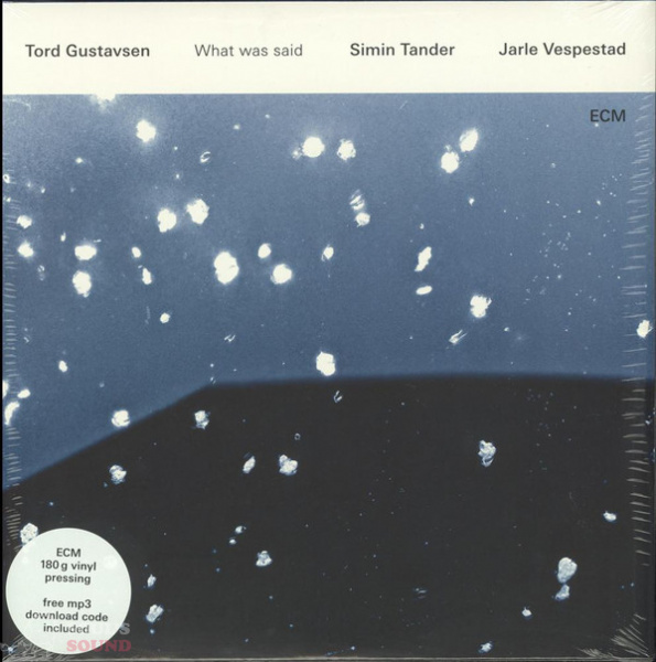 Tord Gustavsen ‎– What Was Said 2 LP