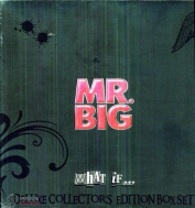 MR BIG - WHAT IF 3LP