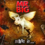 MR BIG - WHAT IF CD