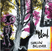THE USED - SHALLOW BELIEVER LP
