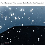 TORD GUSTAVSEN - TORD GUSTAVSEN: WHAT WAS SAID 2 LP