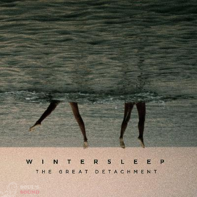 Wintersleep The Great Detachment CD