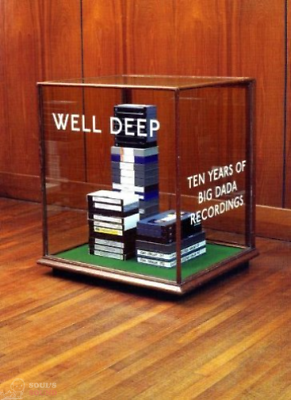 VARIOUS ARTISTS - WELL DEEP: 10 YEARS OF BIG DADA RECORDS DVD