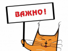 Важности в Soul’s Sound: еще раз про условия покупки в Black Friday