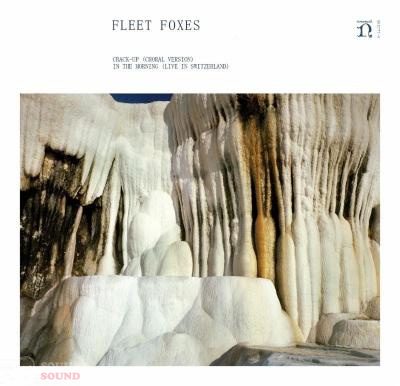 Fleet Foxes Crack-Up (Choral Version) / In The Morning (Live In Switzerland) (RSD2018) LP