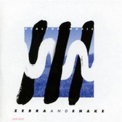 ZEBRA AND SNAKE - HEALING MUSIC CD