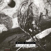 David Sylvian - Secrets Of The Beehive CD