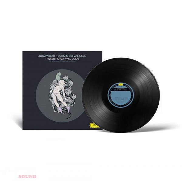 Adam Wiltzie ; Johann Johannsson Friendship Survival Guide LP