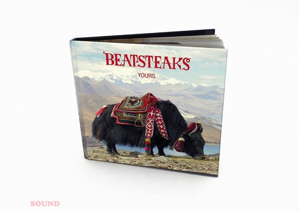 Beatsteaks Yours 2 LP