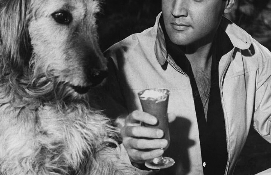 Да здравствует rock'n'roll: уникальные издания Elvis Presley – скоро в продаже!