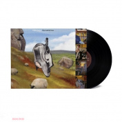 English Teacher This Could Be Texas LP