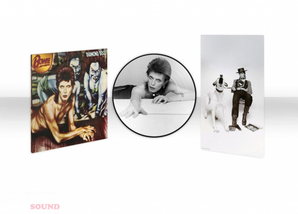 David Bowie Diamond Dogs LP Half Speed Master Limited 50th anniversary Picture