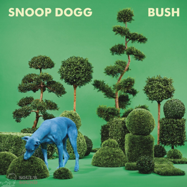 SNOOP DOGG - BUSH CD