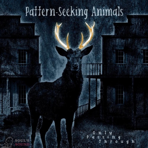 Pattern-Seeking Animals Only Passing Through 2 LP + CD