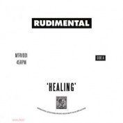 Rudimental Healing / No Fear (RSD2018) LP