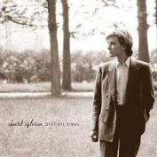 David Sylvian - Brilliant Trees CD