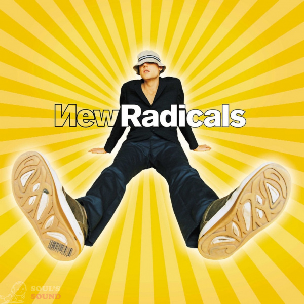 New Radicals Maybe You've Been Brainwashed Too 2 LP