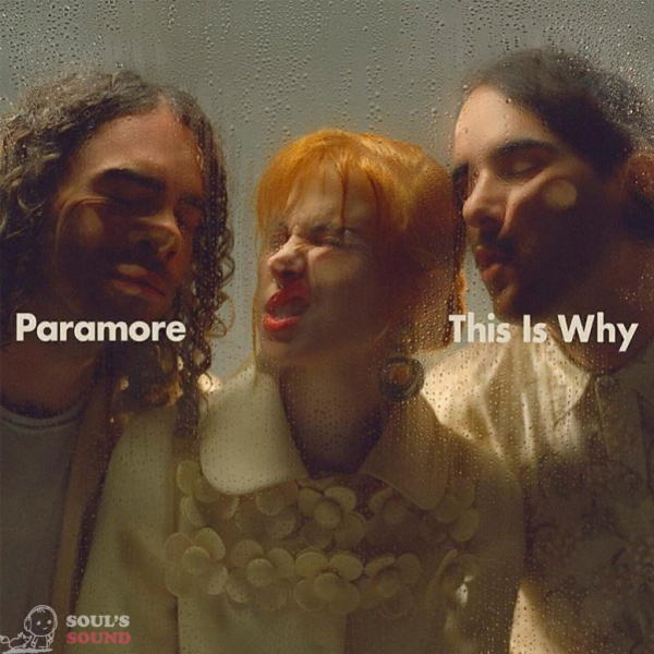 Paramore This Is Why LP Limited Indie Edition Clear