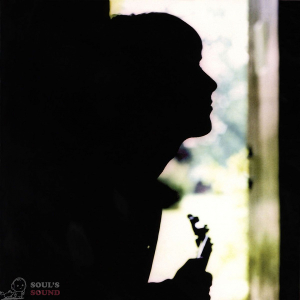 Paul Weller Wild Wood LP