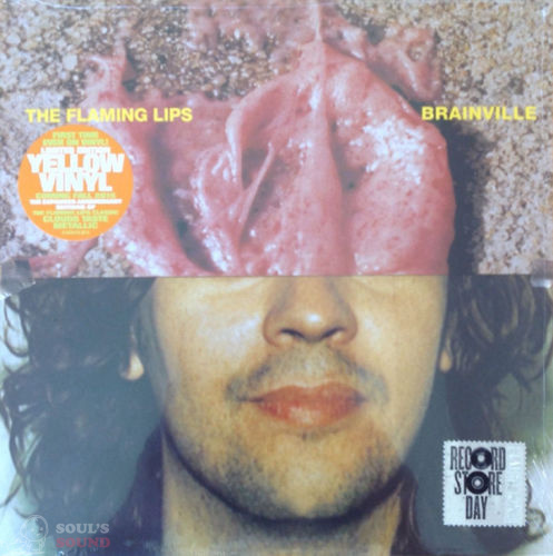 THE FLAMING LIPS - BRAINVILLE LP