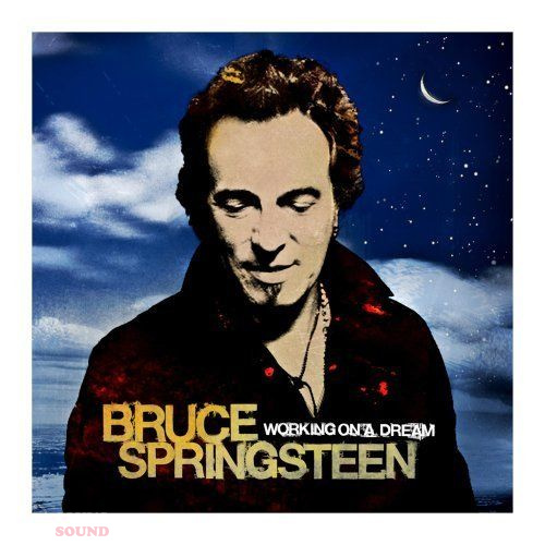 Bruce Springsteen Working On A Dream 2 LP