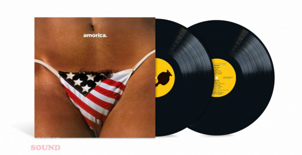 The Black Crowes Amorica 2 LP