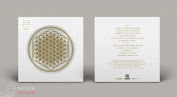 Bring Me The Horizon Sempiternal LP 10th Anniversary Edition Picture Disc