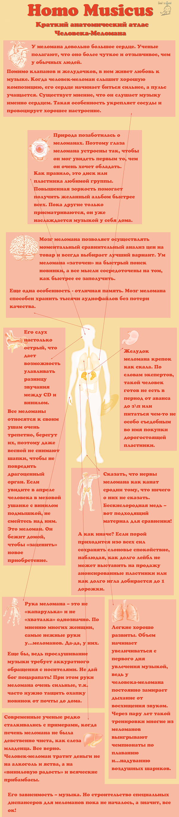 Человек-меломан: кто он? (инфографика)