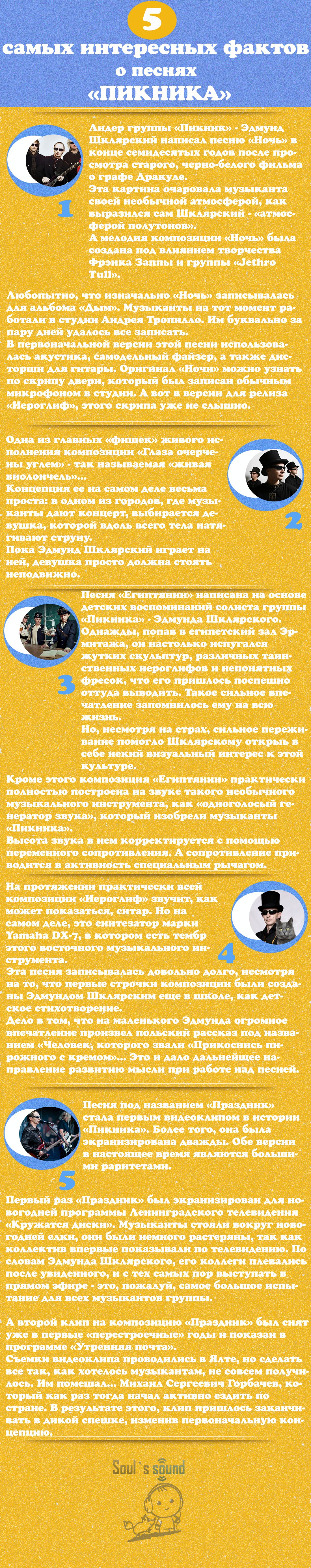 пикник_инфографика1.png