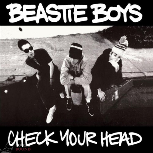 The Beastie Boys Check Your Head 2 LP